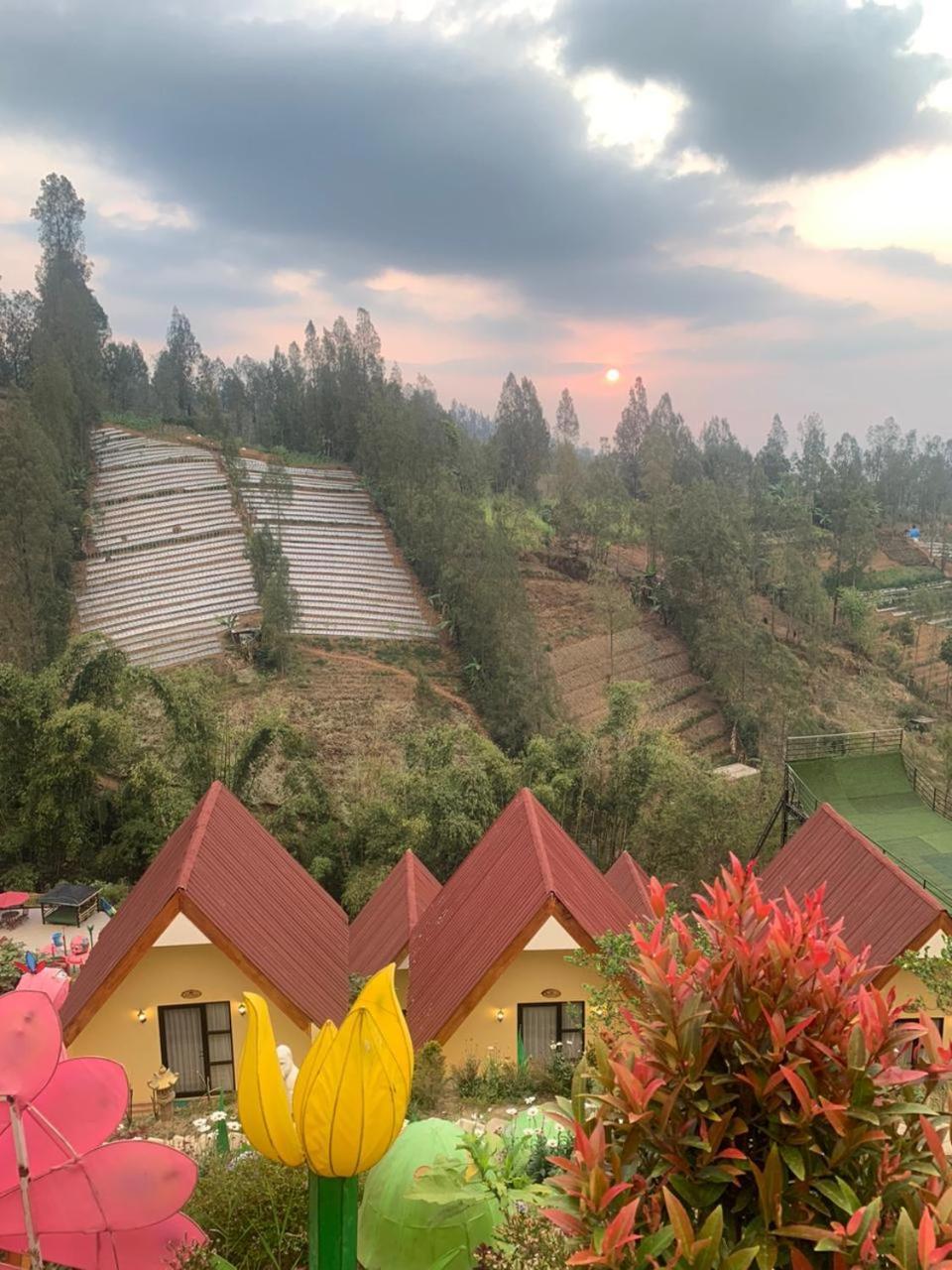 Hotel Nature Bromo And Resort Pasuruan Exterior photo