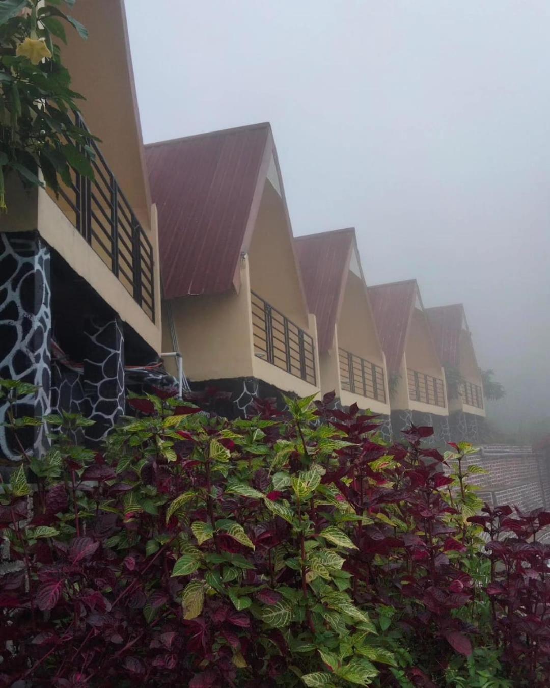 Hotel Nature Bromo And Resort Pasuruan Exterior photo